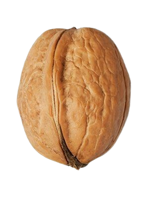 Nuts