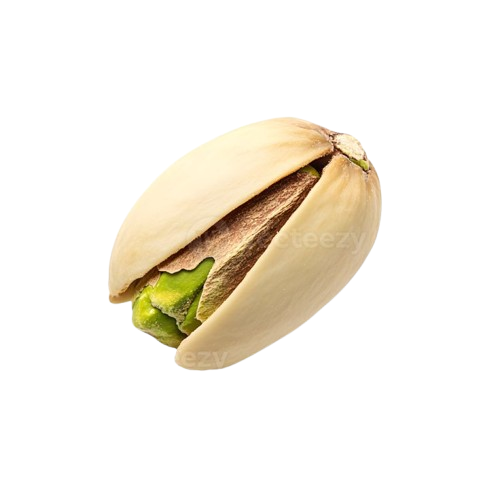 Fresh Pistachio Nuts in Shell Wholesale Dubai UAE