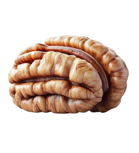 A beautiful bowl of mixed premium nuts