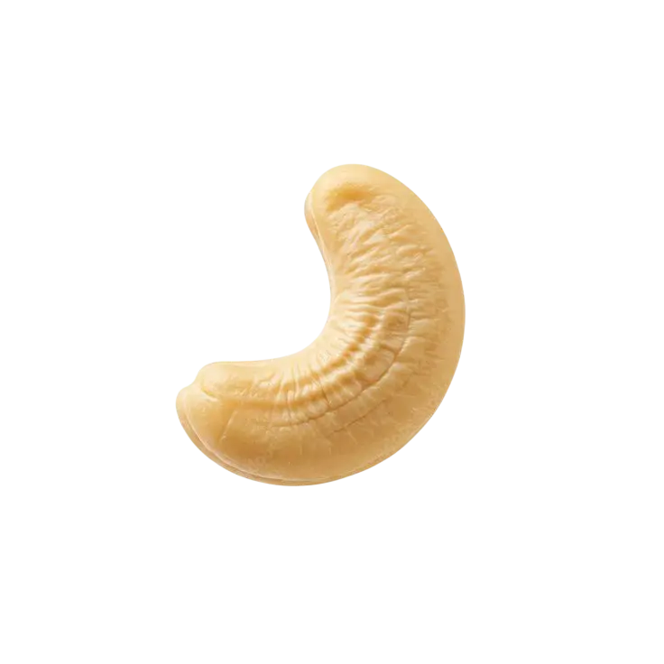Roasted Cashew Nuts Import UAE